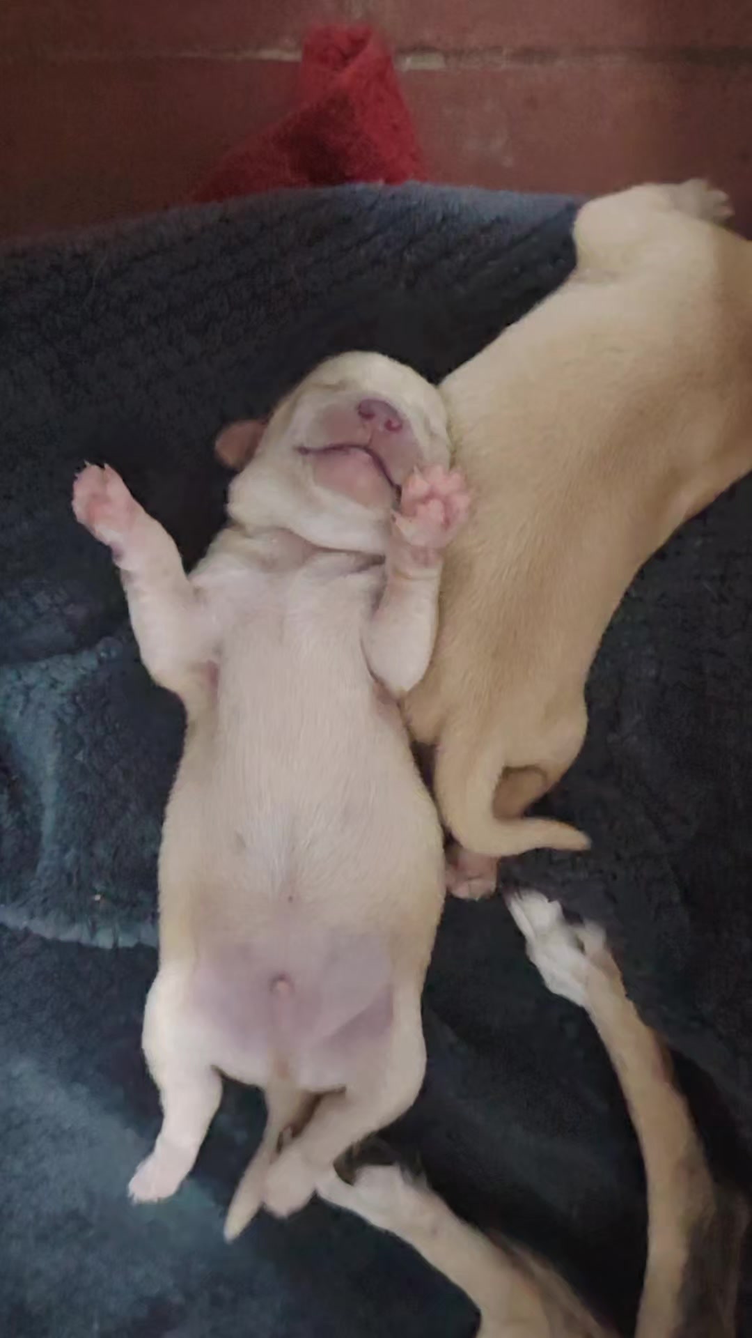 @Hern&aacute;ndez