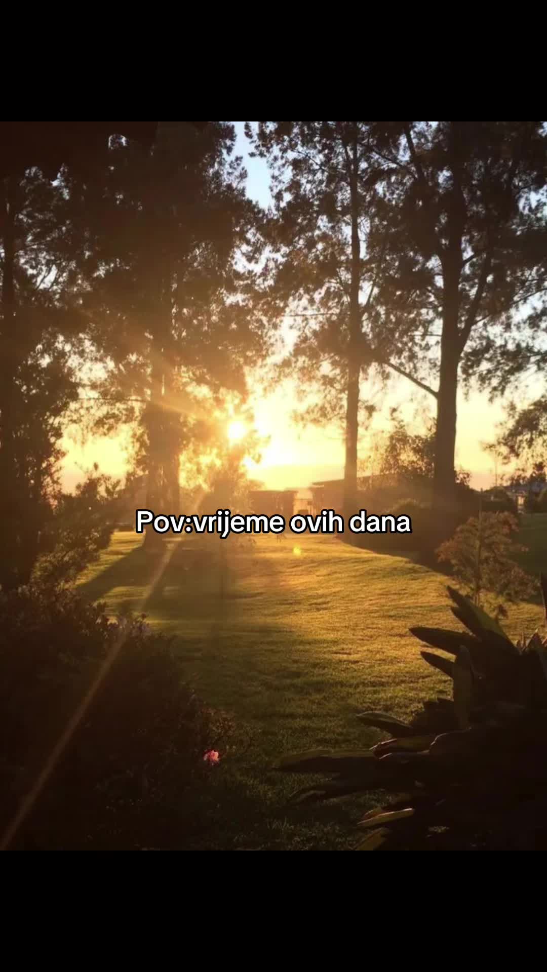 @despinaaa