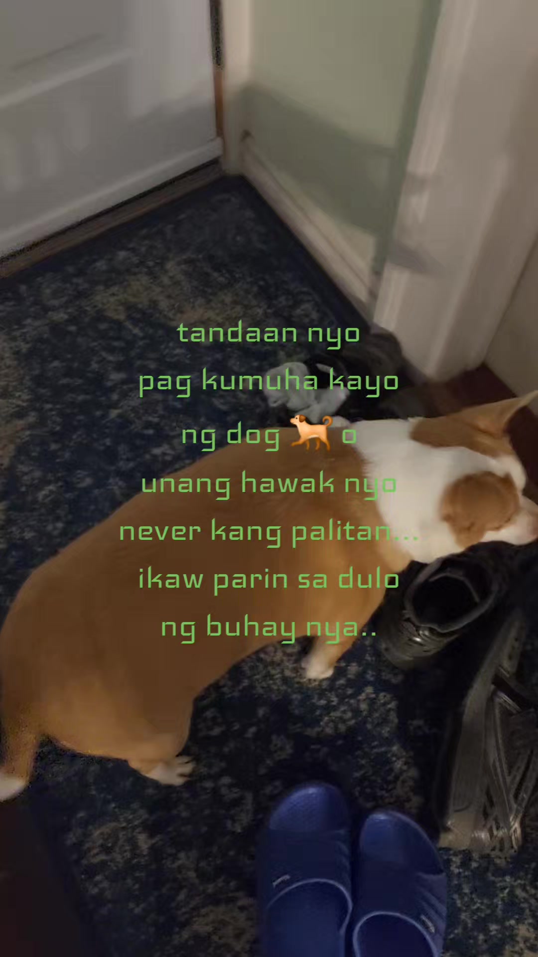 @Nonoy