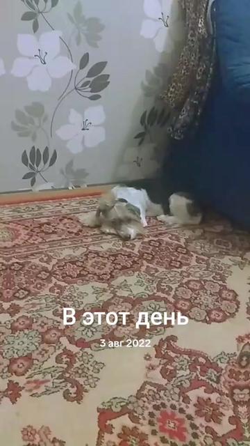 @Tatiana&Tatiana