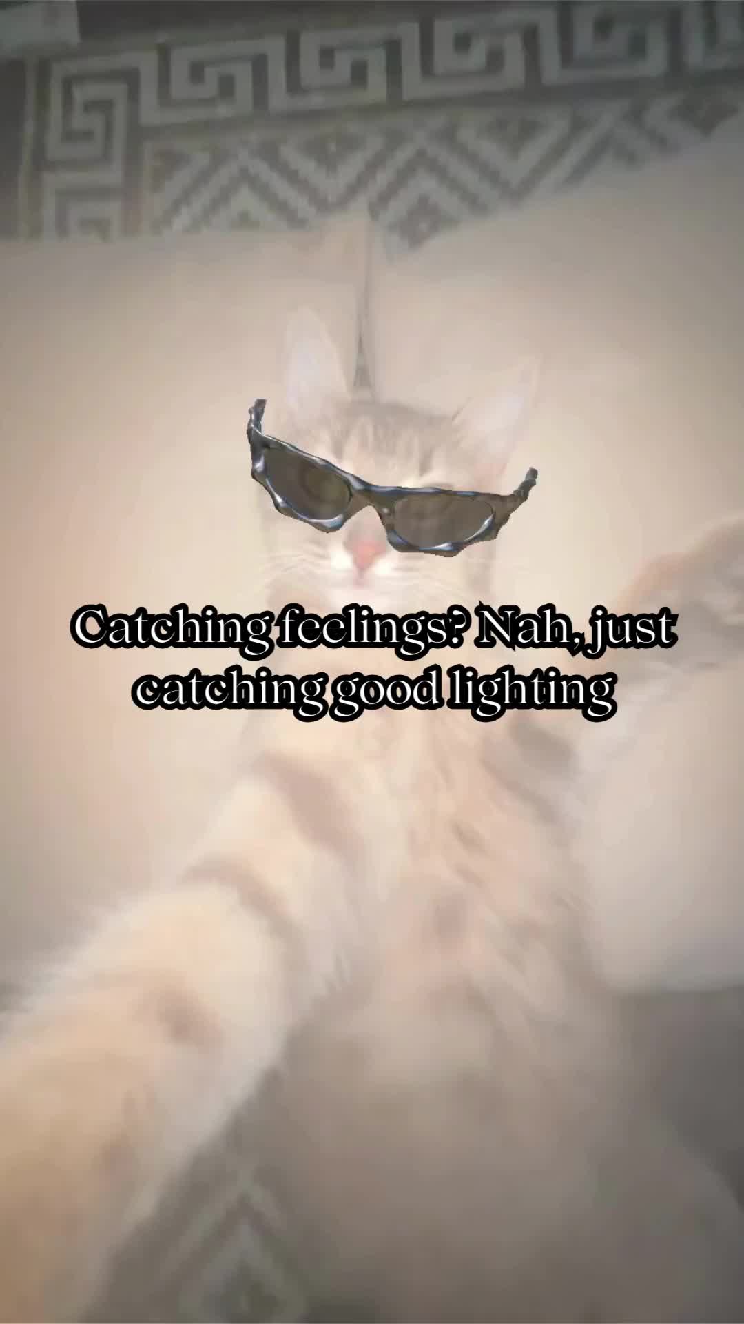 @BabaBear