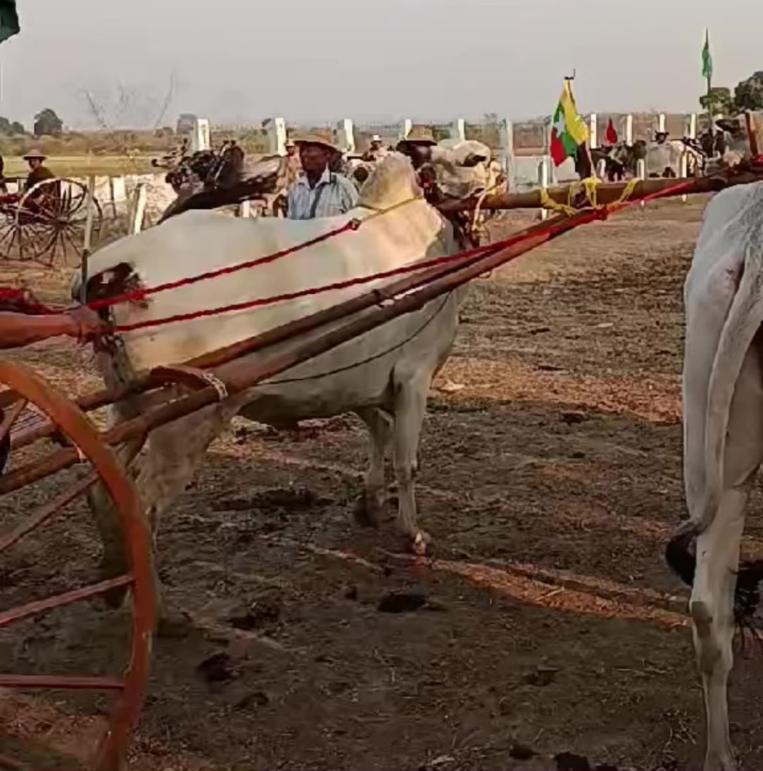 @đááášáááźáŹá¸đ(7.2M)