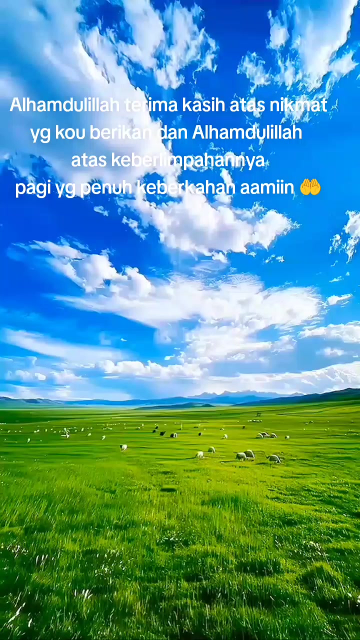 @sari Triani