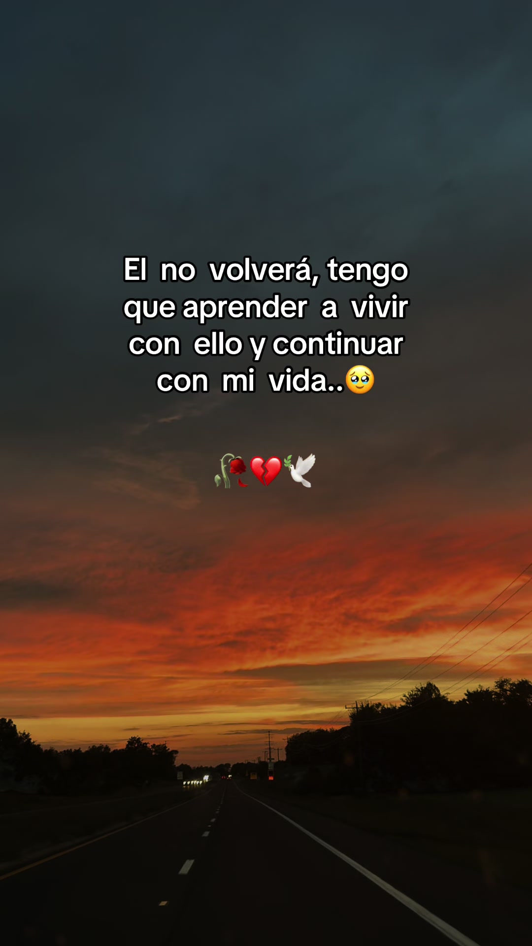 @𓆩✦𓆪🖤🕯️🕊️𓆩✦𓆪
