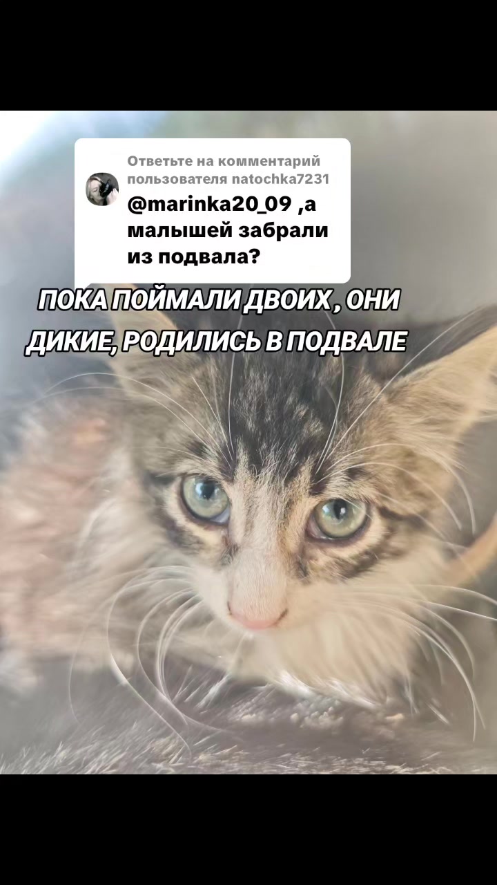 @marinka20_09