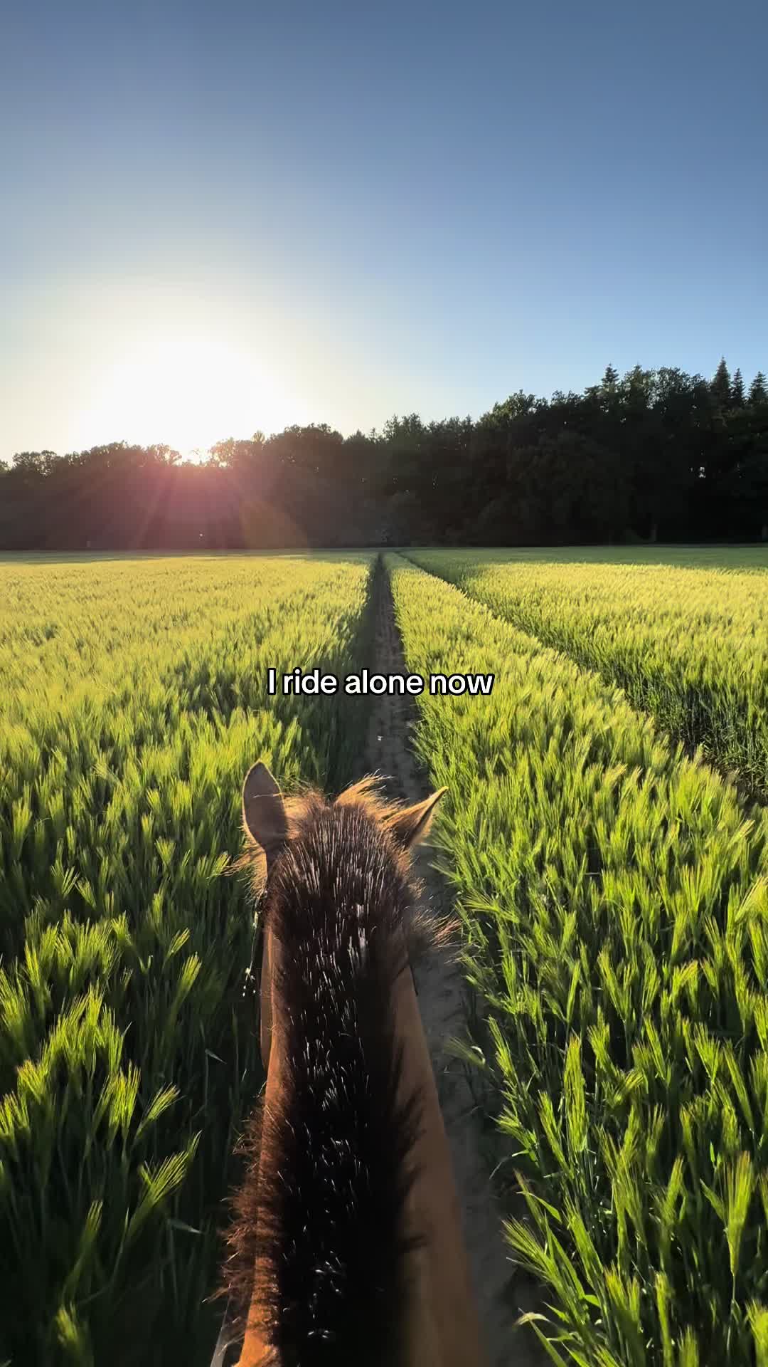 @𝑴𝒂𝒚𝒂