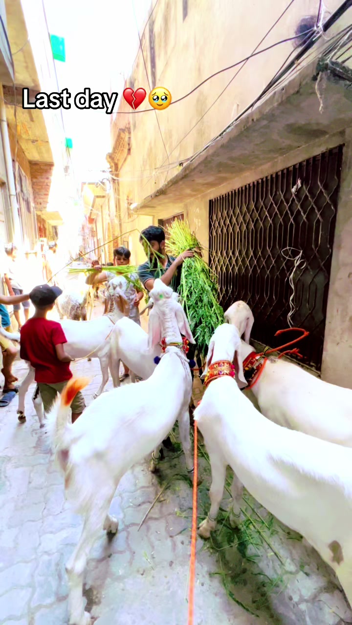 @❌zain nawaz vlog❌