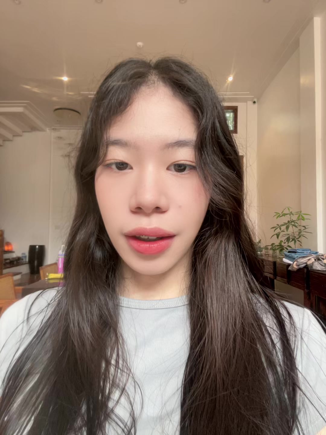 @🐯