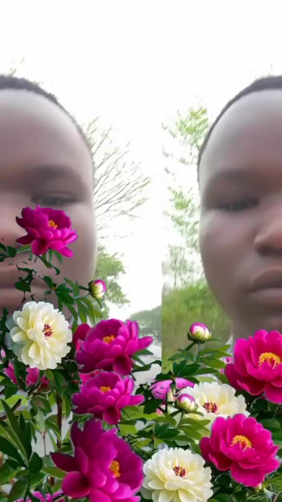 @bing lioo