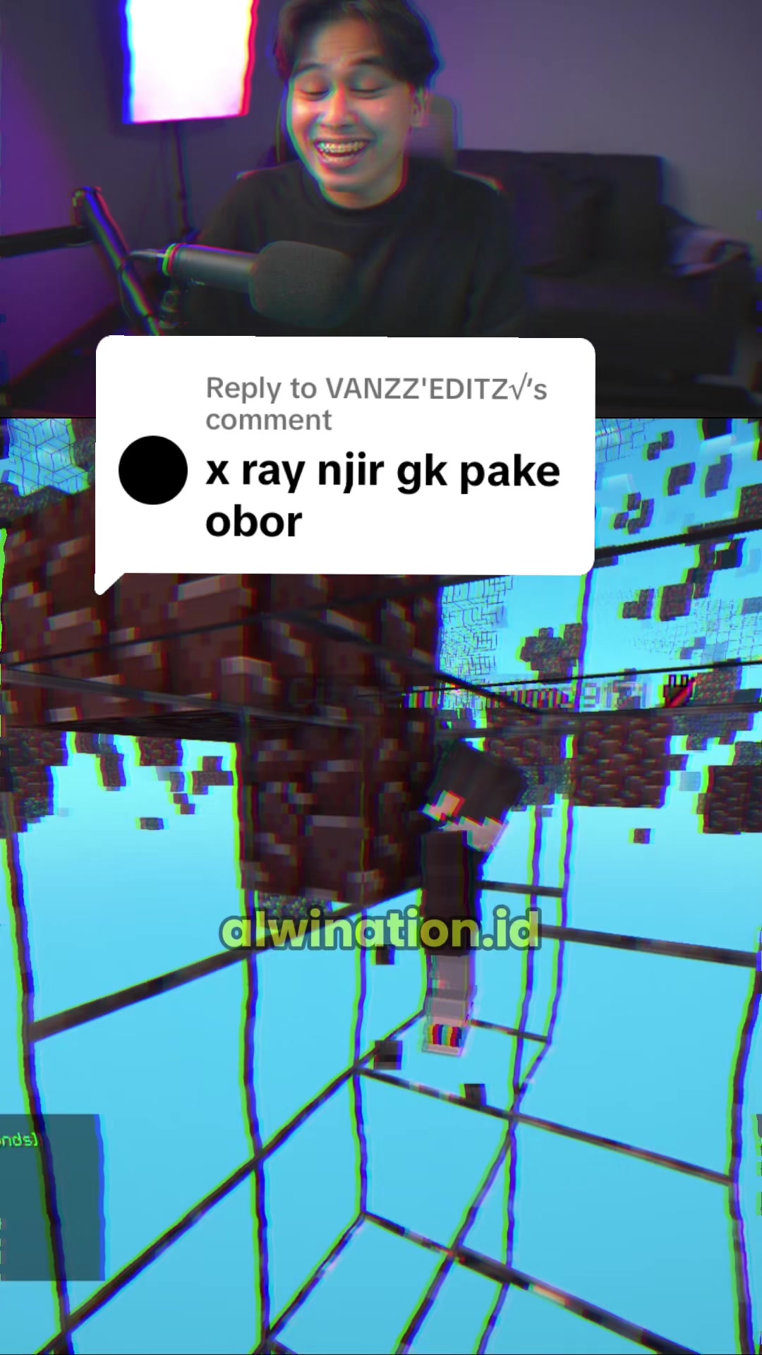 @Alwination - Server Minecraft