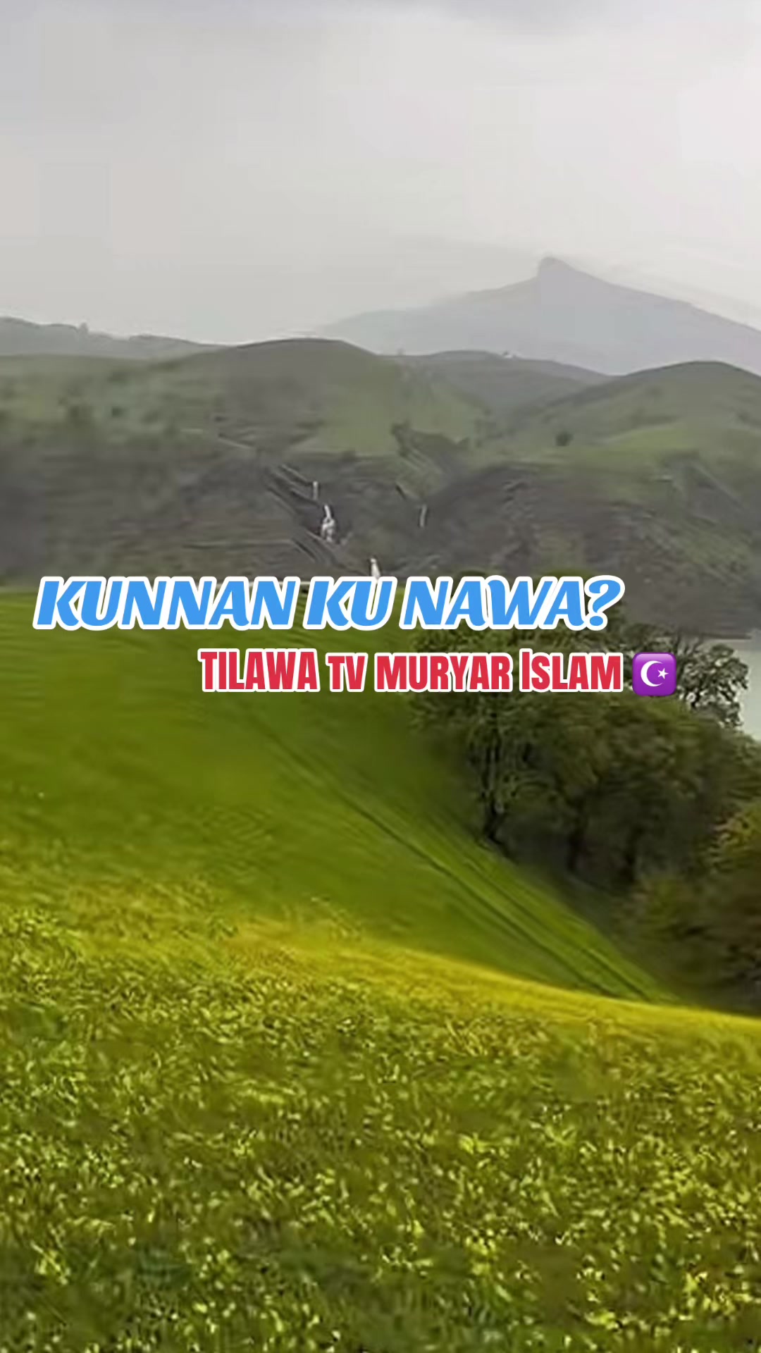 @TILAWA TV Official