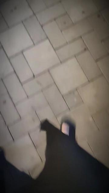 @Elya Celilova_08.