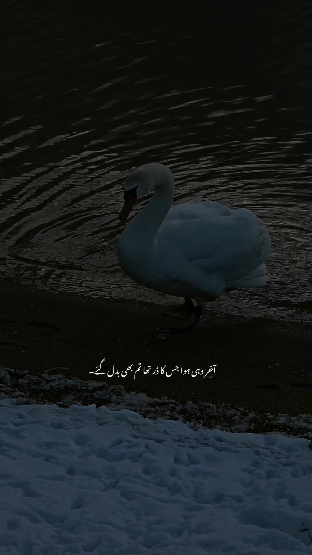 @๐๐๐๐