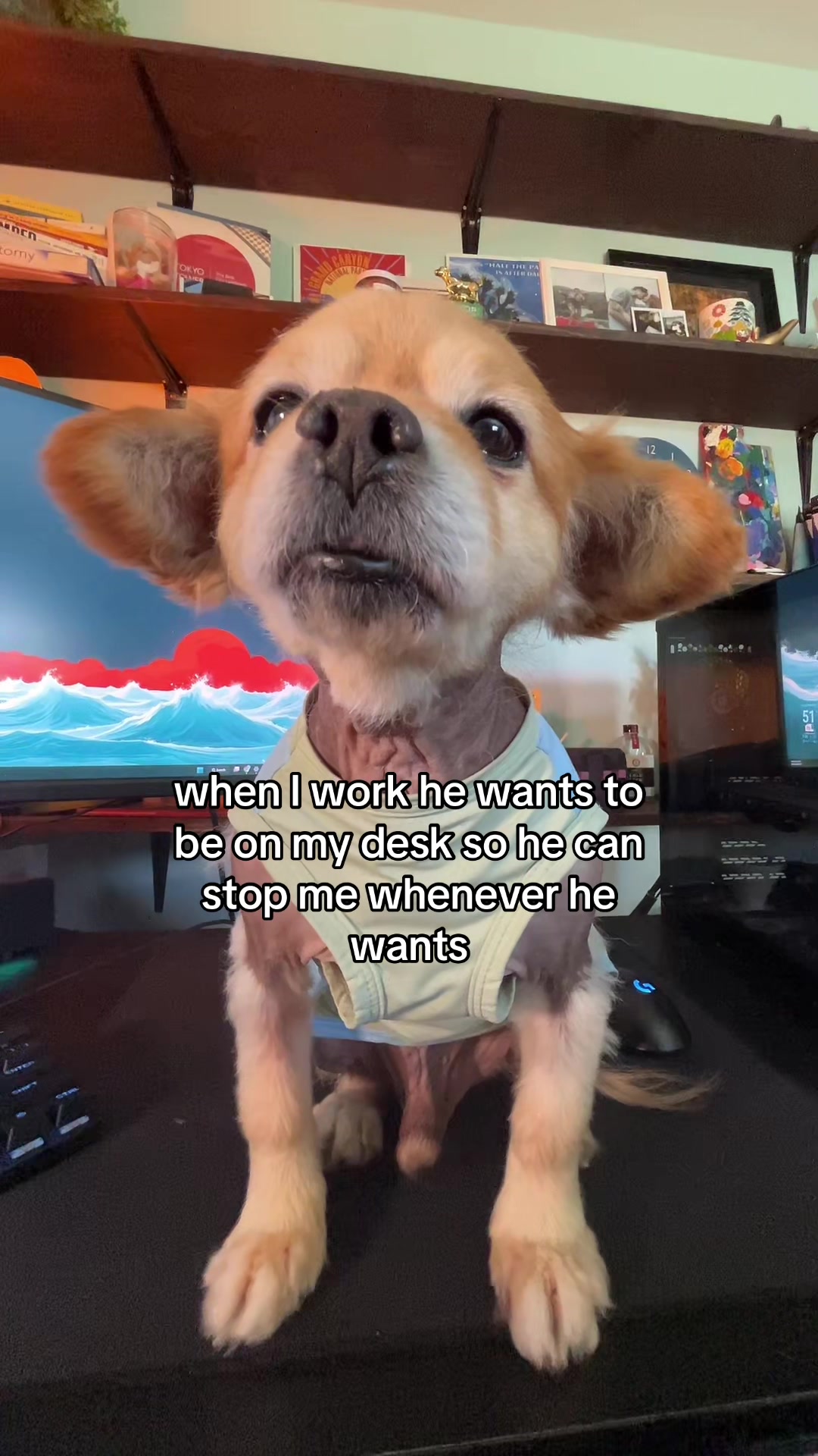 @kingpep