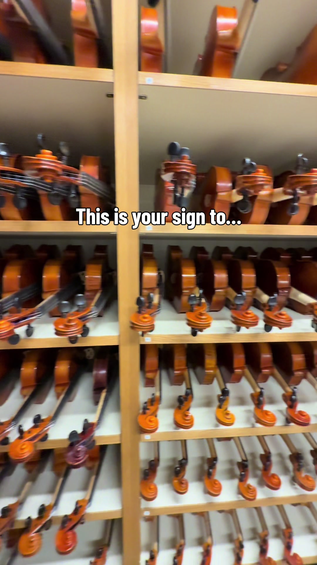 @Johnson String Instrument