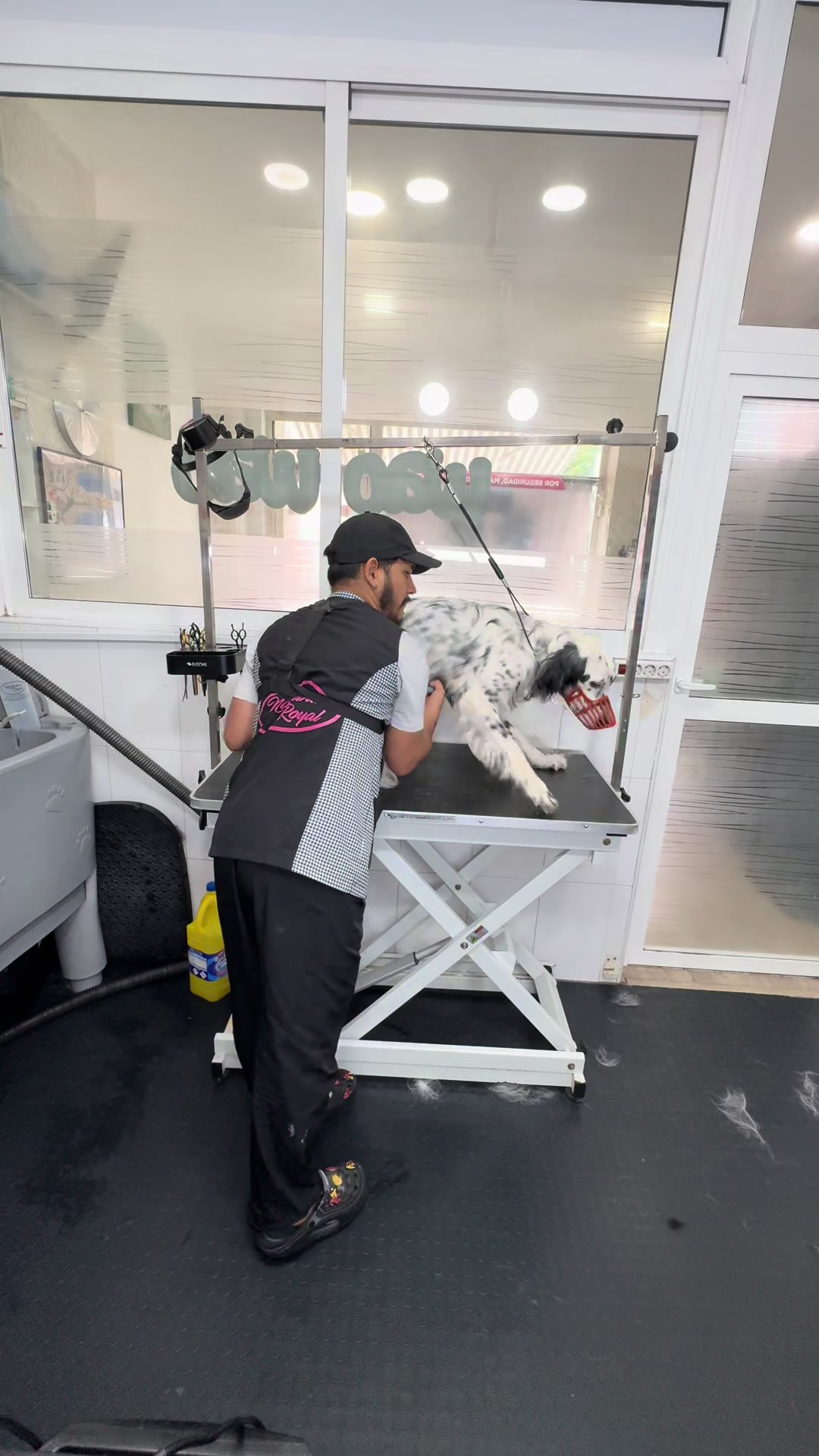 @Victor The Groomer