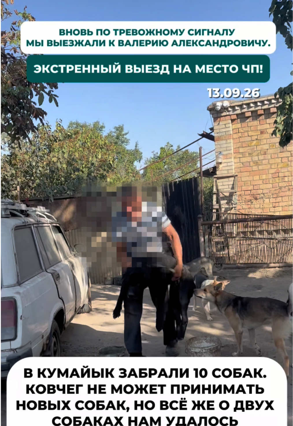 @Приют Ковчег Кыргызстан