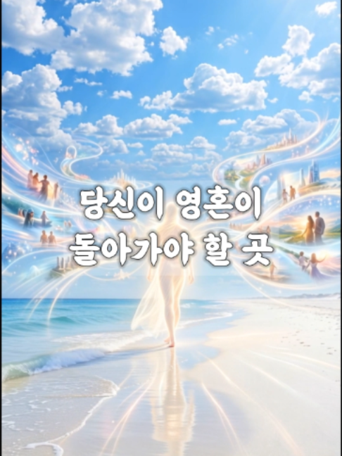 @빛의 씨앗