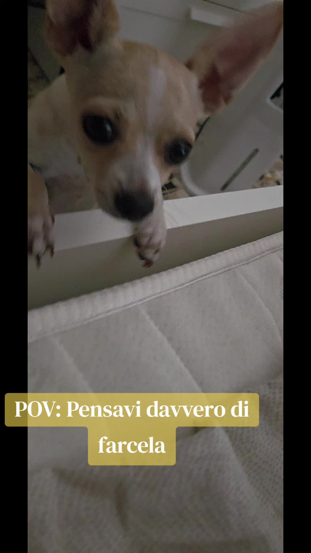 @Penny_90