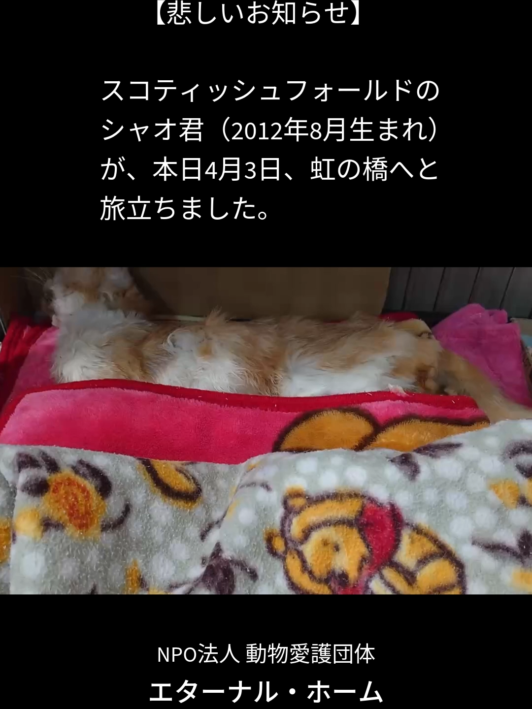 @NPO法人エターナル・ホーム