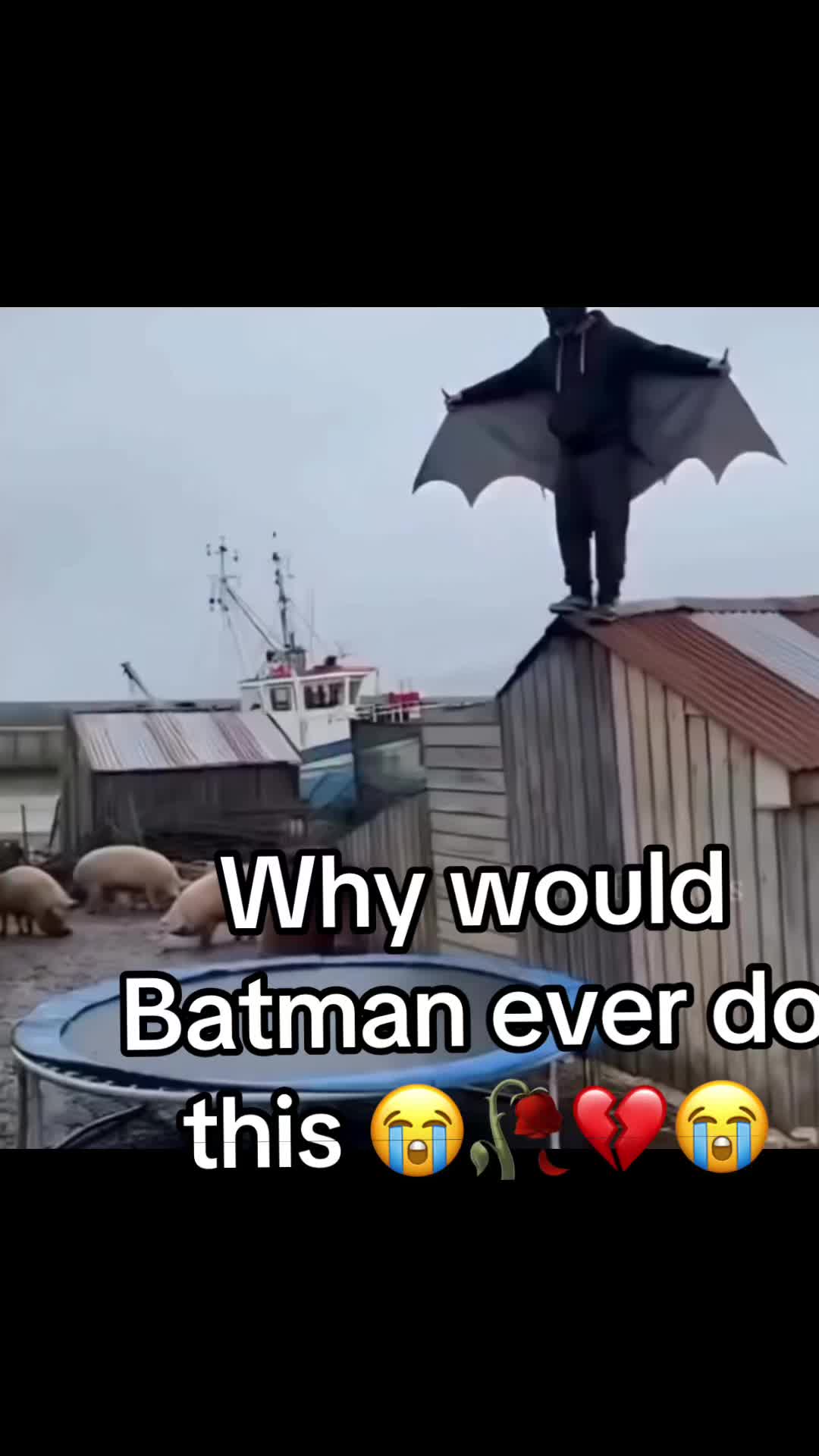 @Enigmaknight