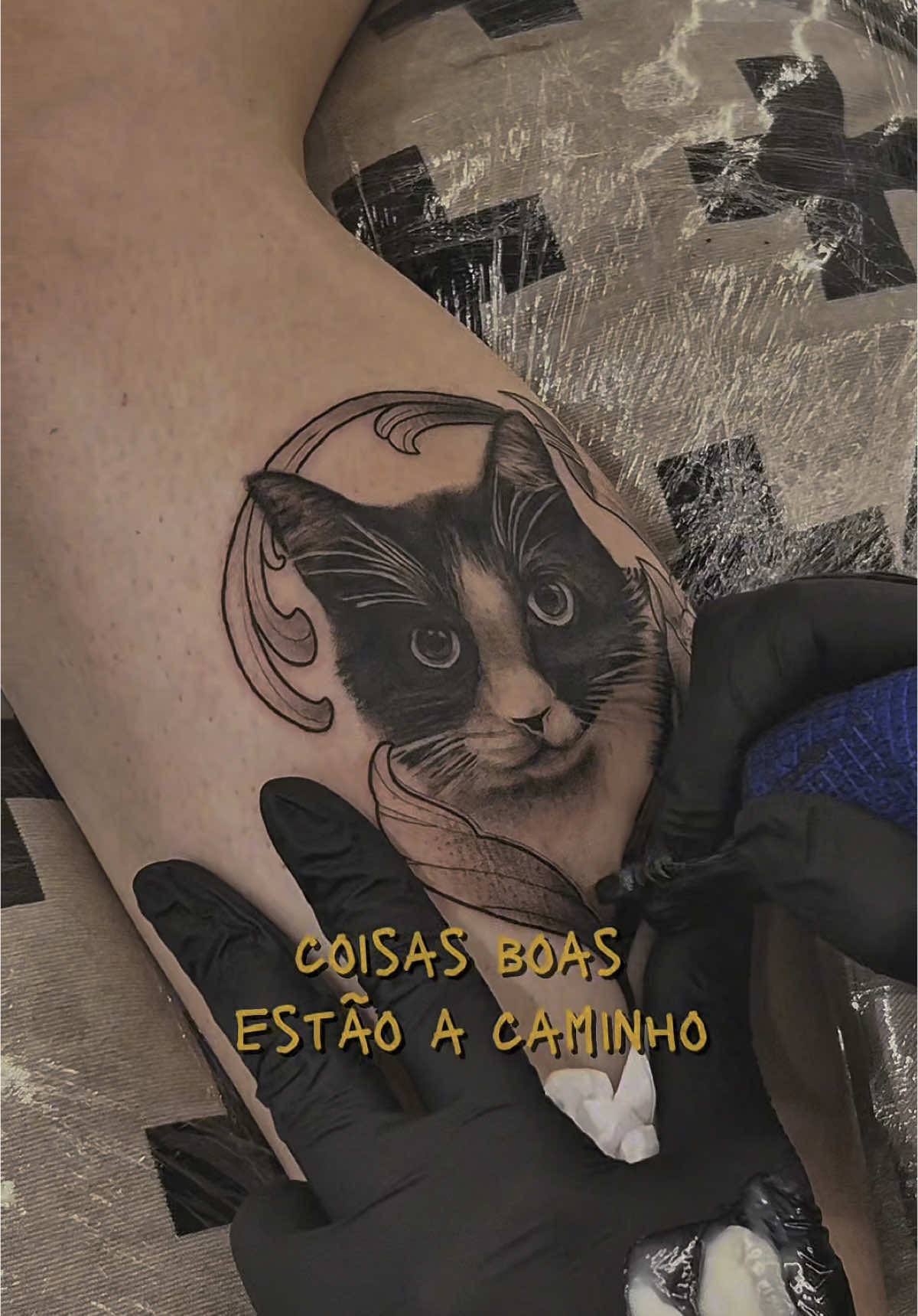 @Gabriela