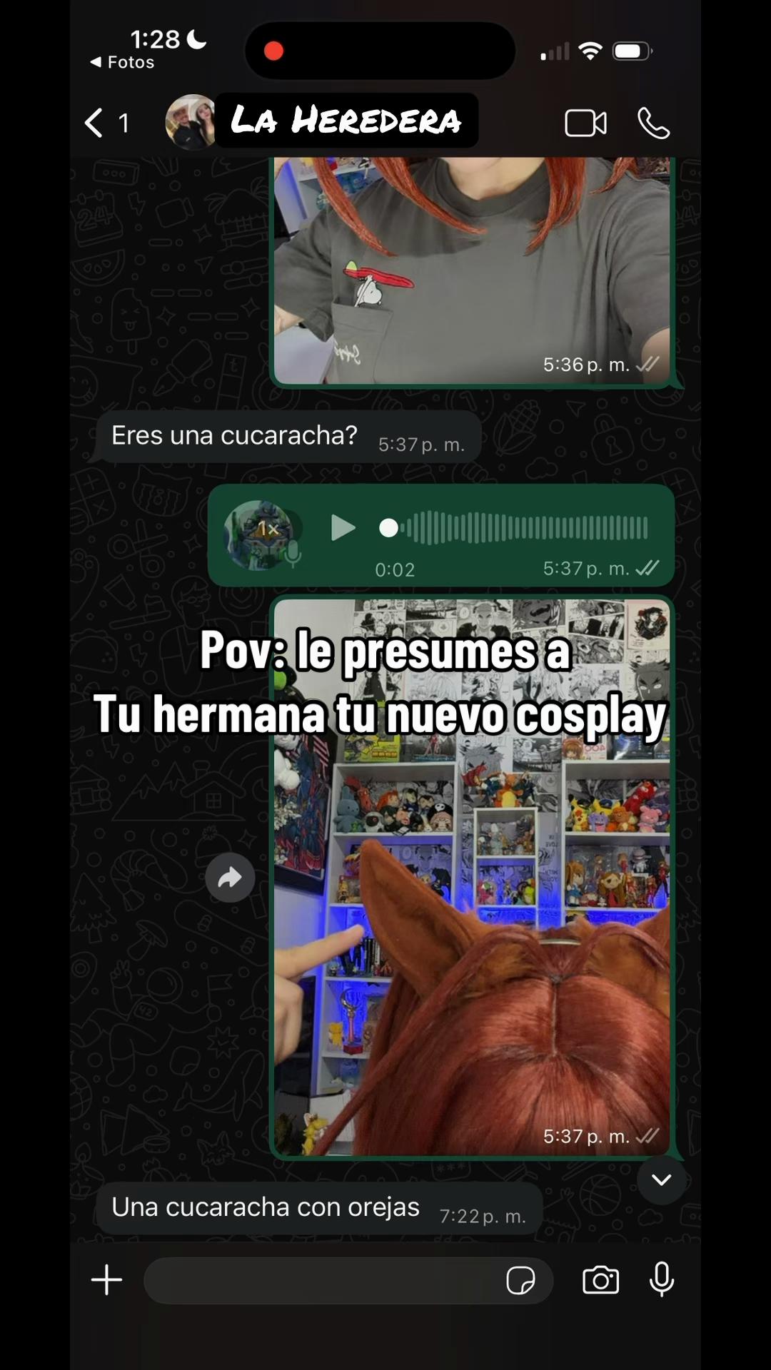 @faninirb