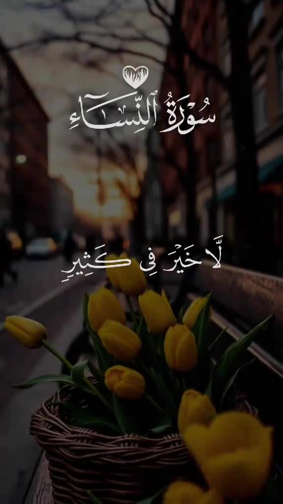 @احمد الحلاوي الحلاوي