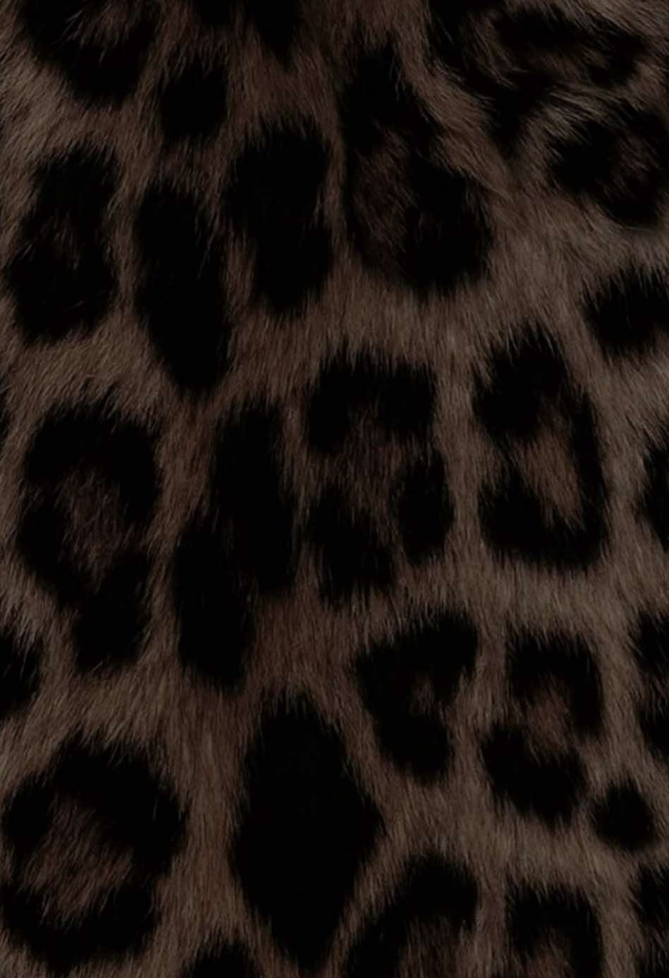 @𝓖𝓢