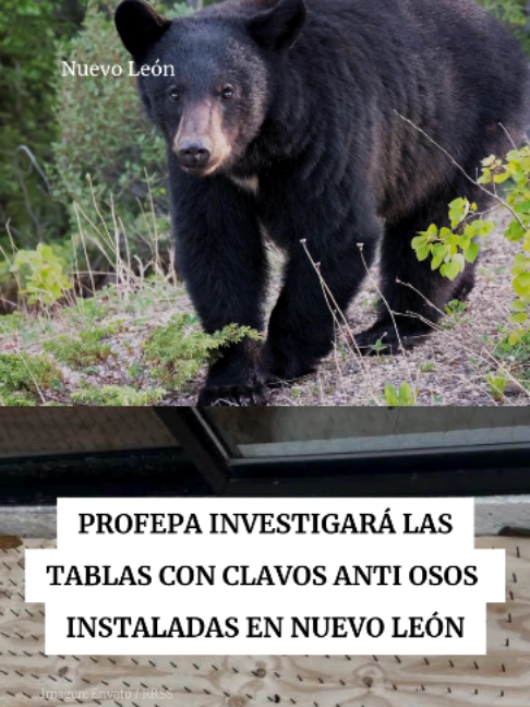 @Periódico Excélsior
