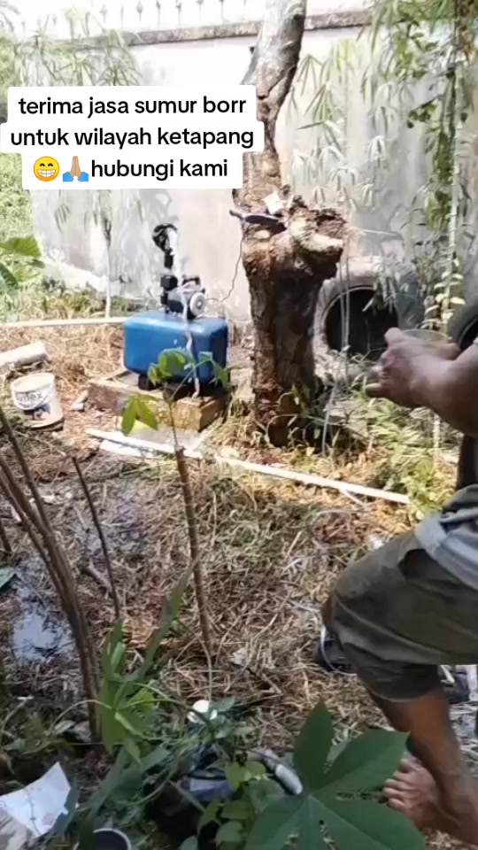 @dedekhimawari91