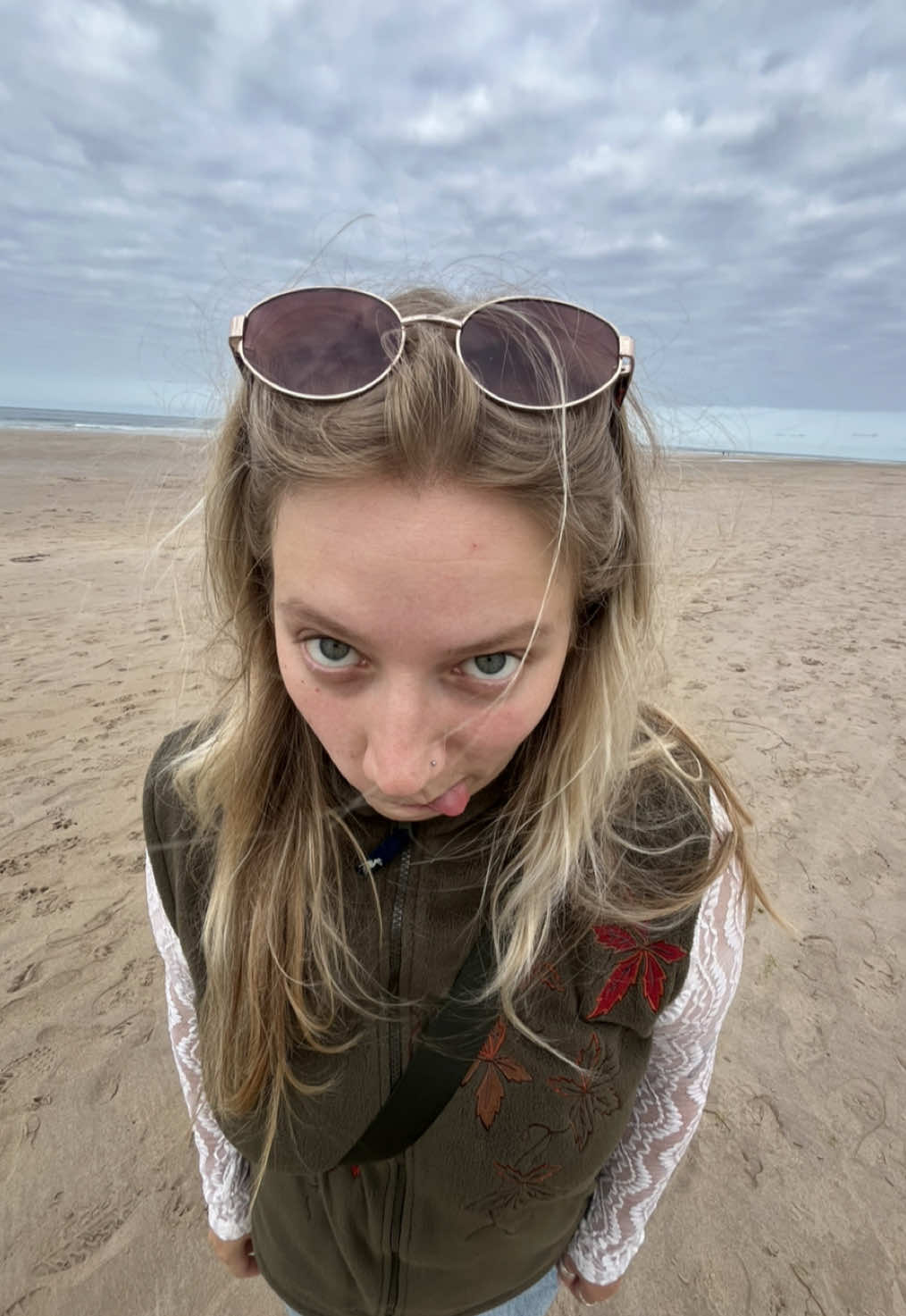 @hollywollycholly