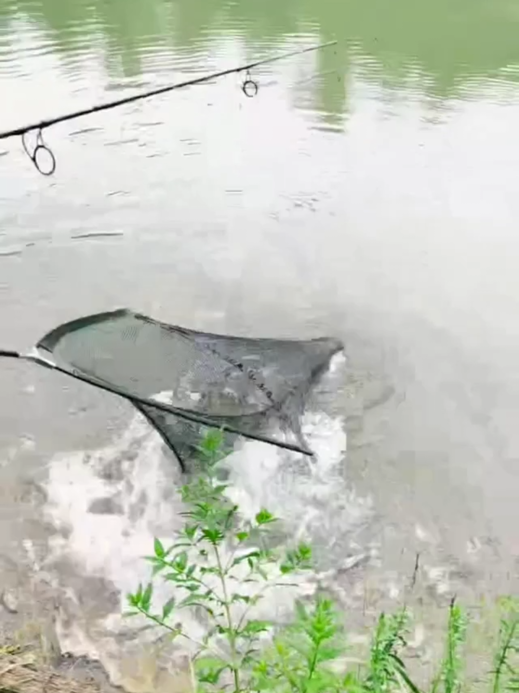 @frane.carpfishing91