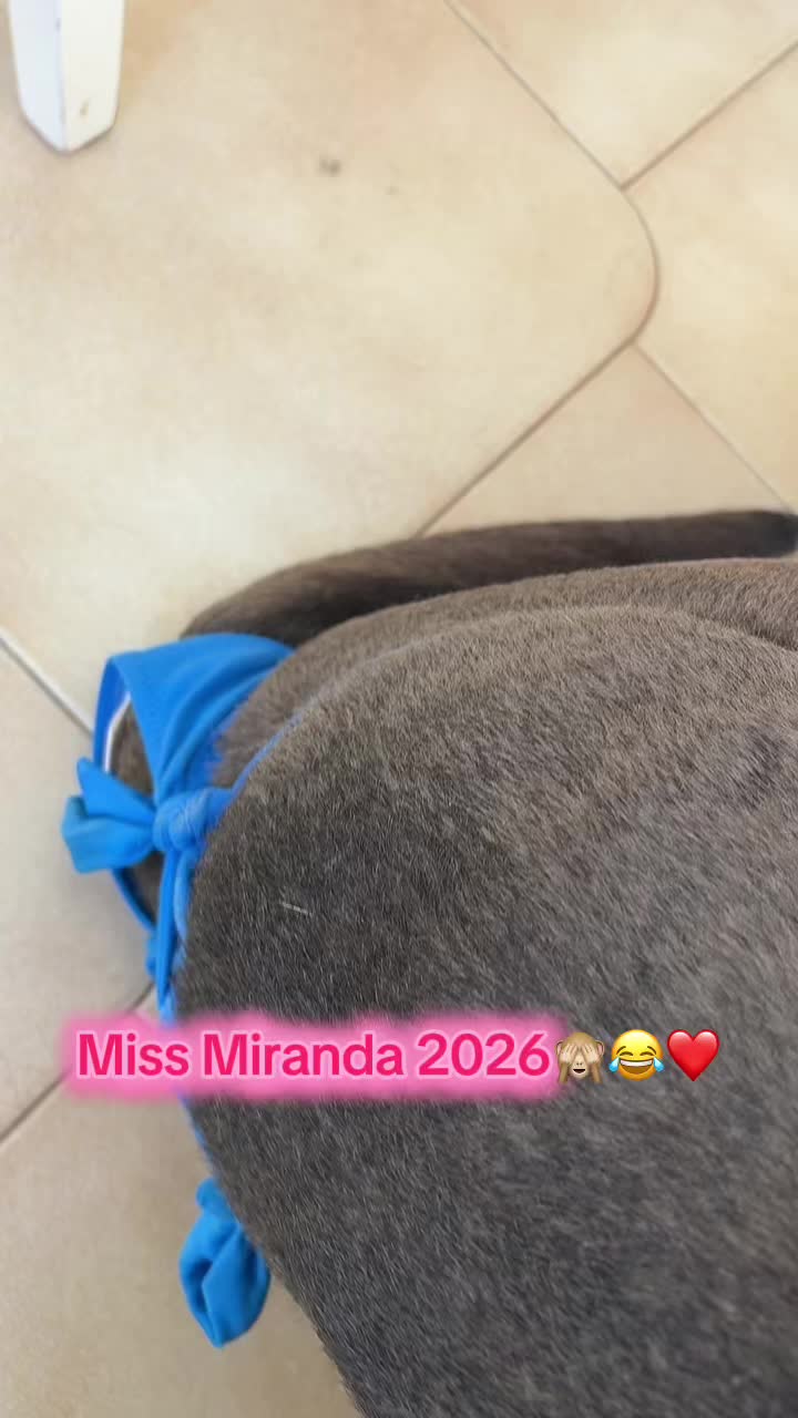 @Vanessa Librando