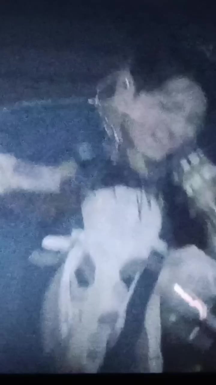 @AS