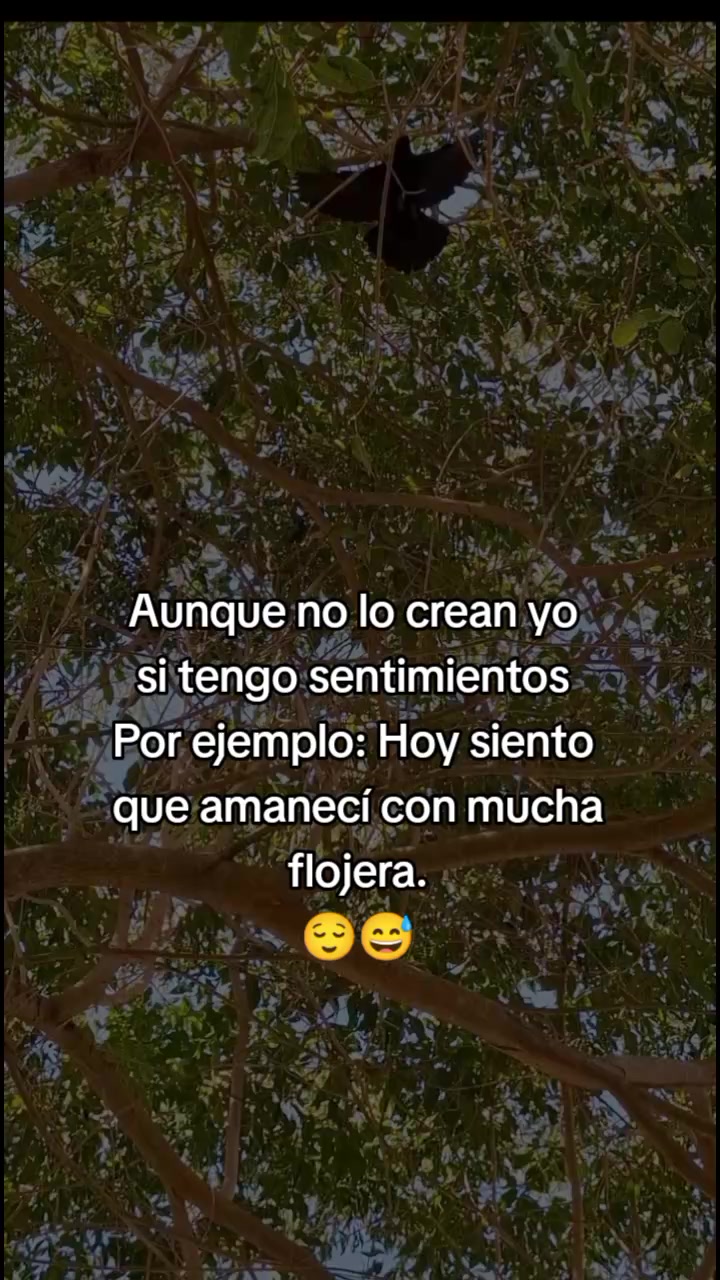 @🌺KARINA🌺