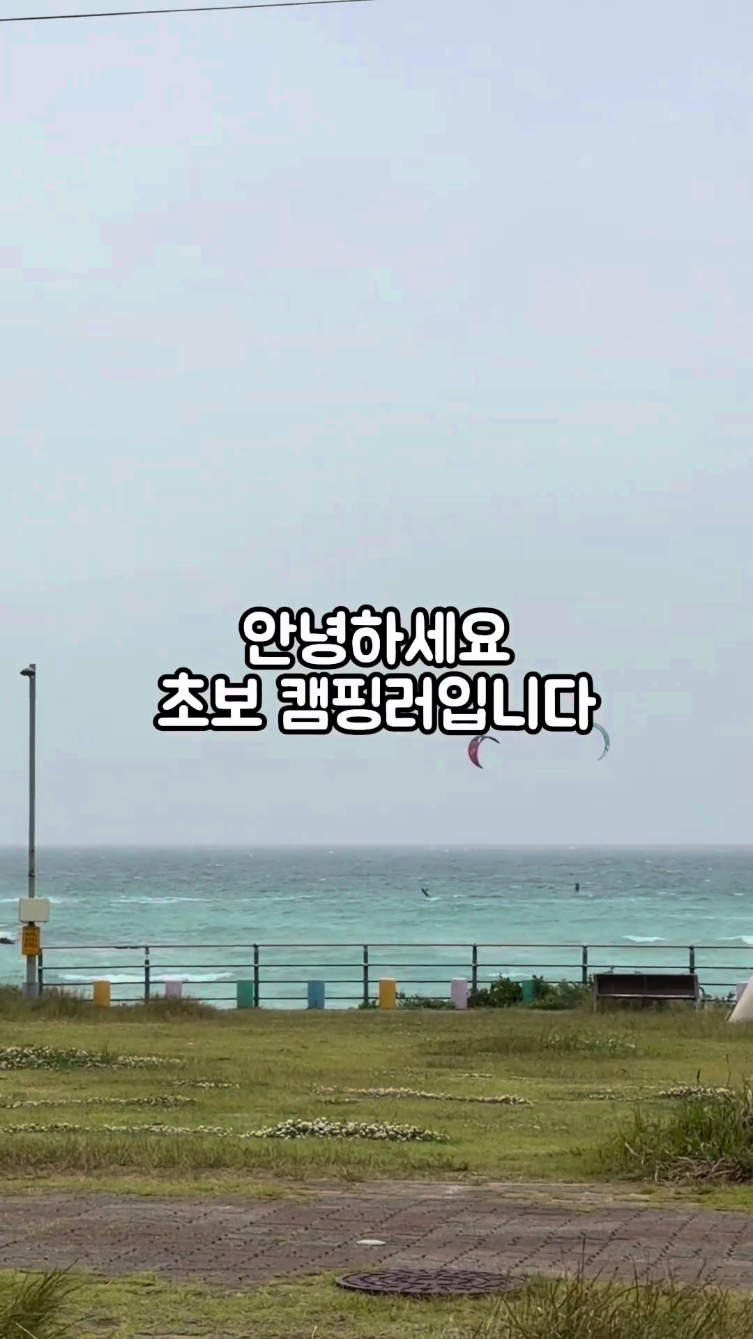 @jeju_kiki