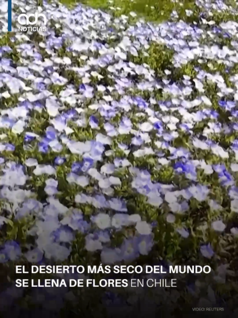 @adn Noticias
