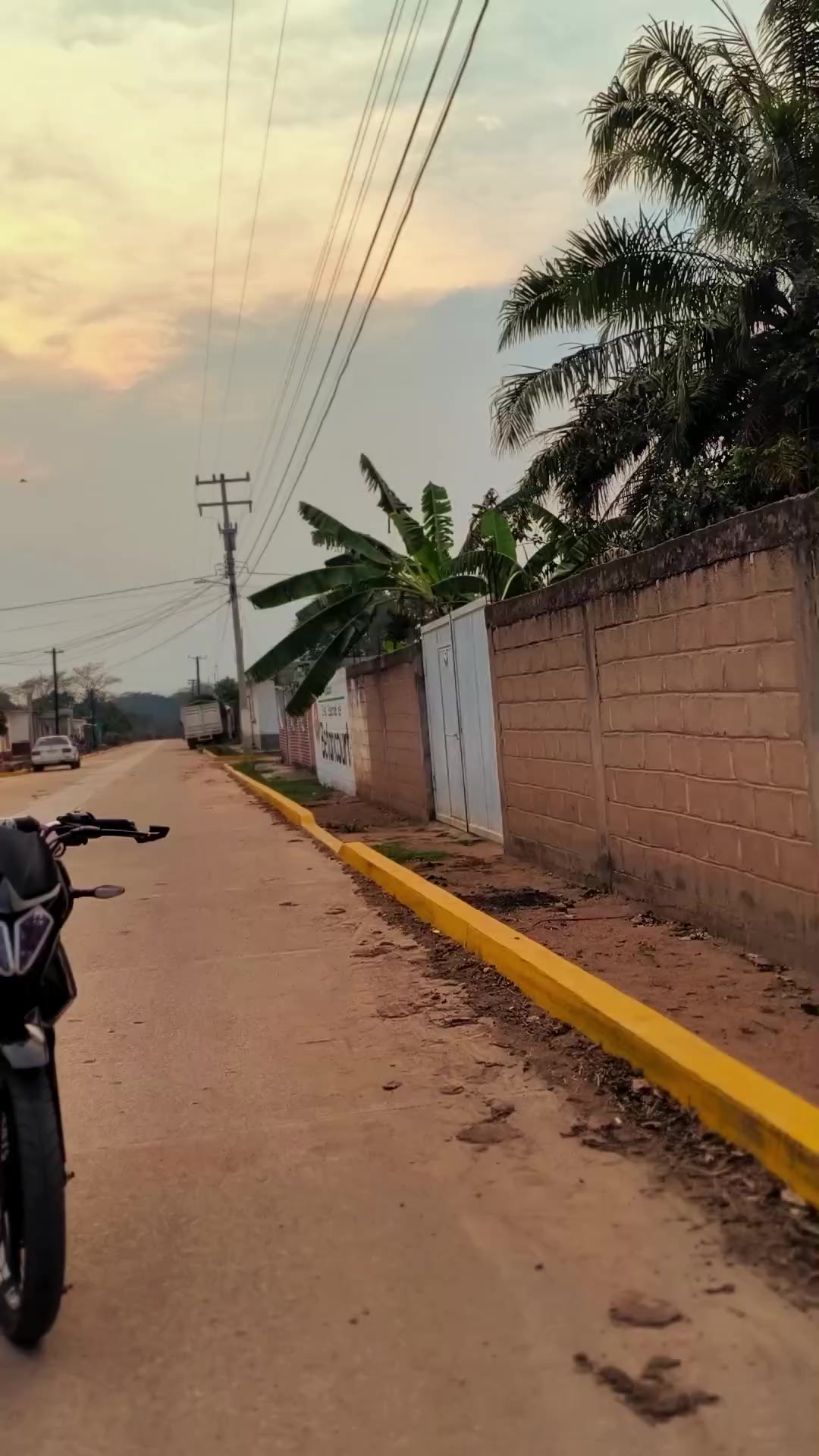 @🕸️EL_FLORES 🕷️