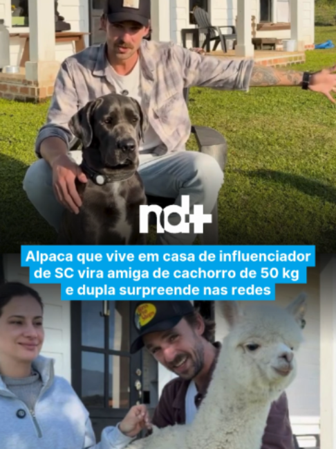 @portalndmais