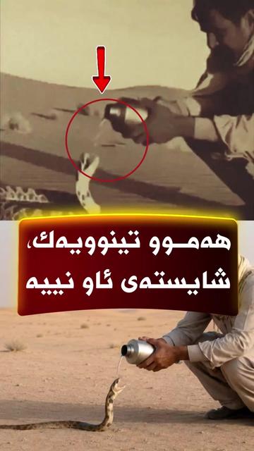 @🎤📺 𓆩جیگر هەركی𓆪 Journalist