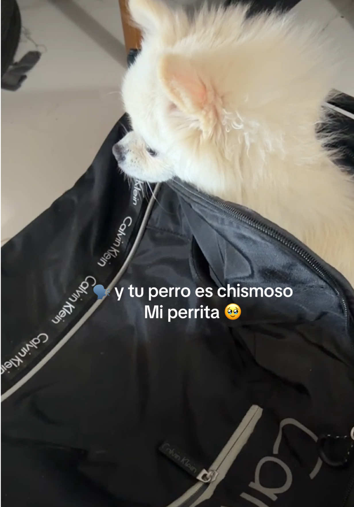 @No.soy.una.kardashian