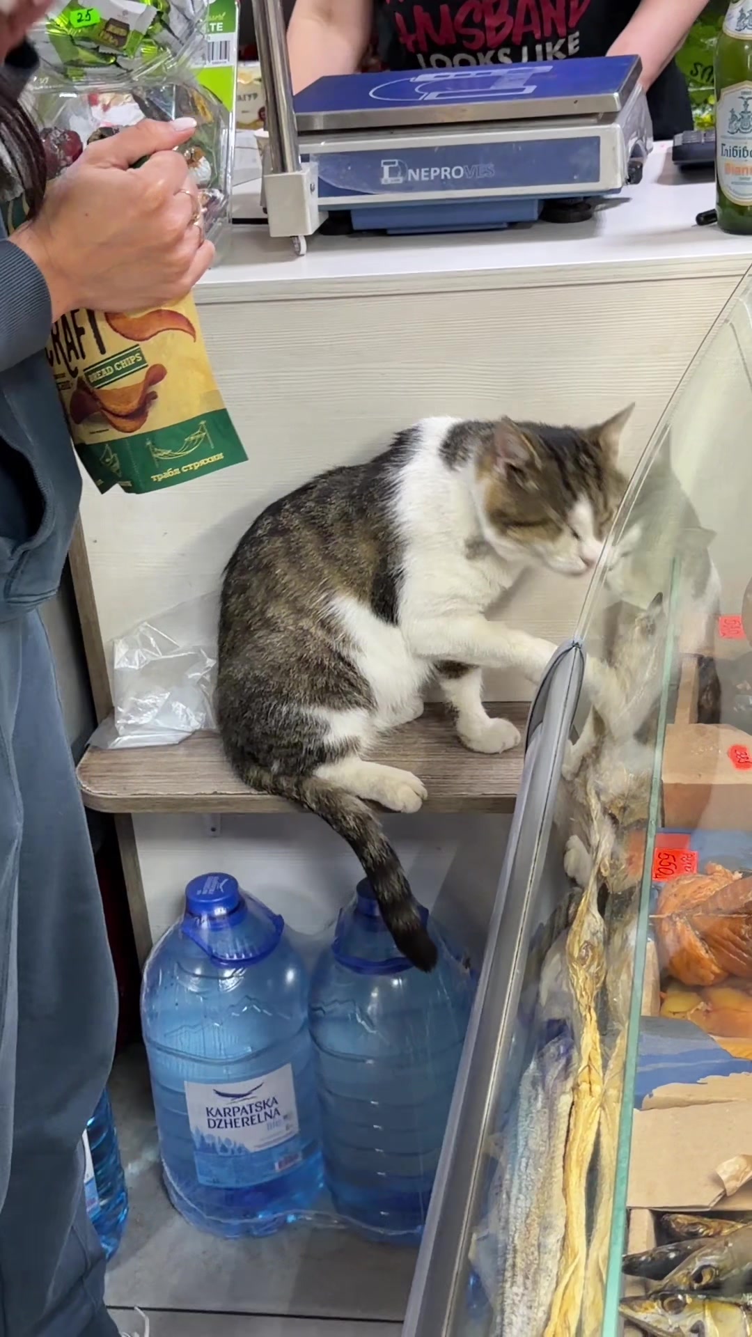 @Магазин «Авокадо» and Мурчік🐱