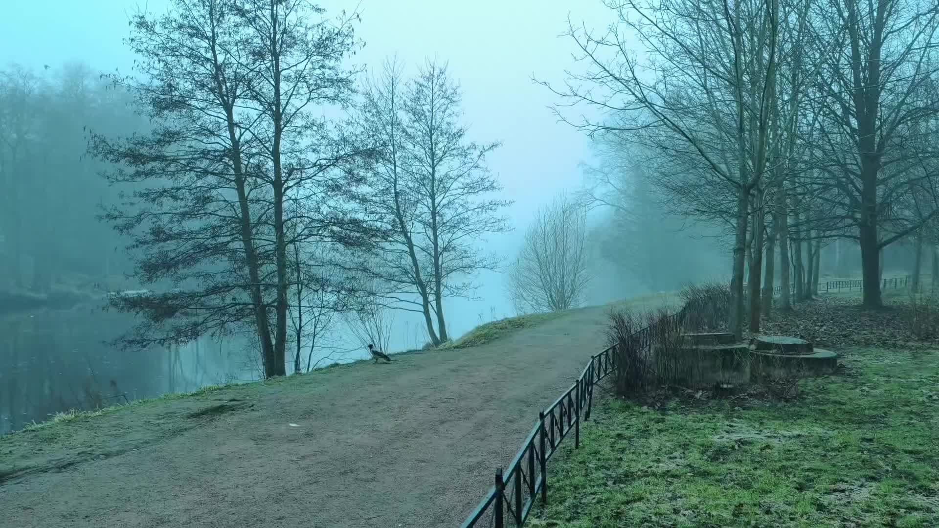 @f0sea_