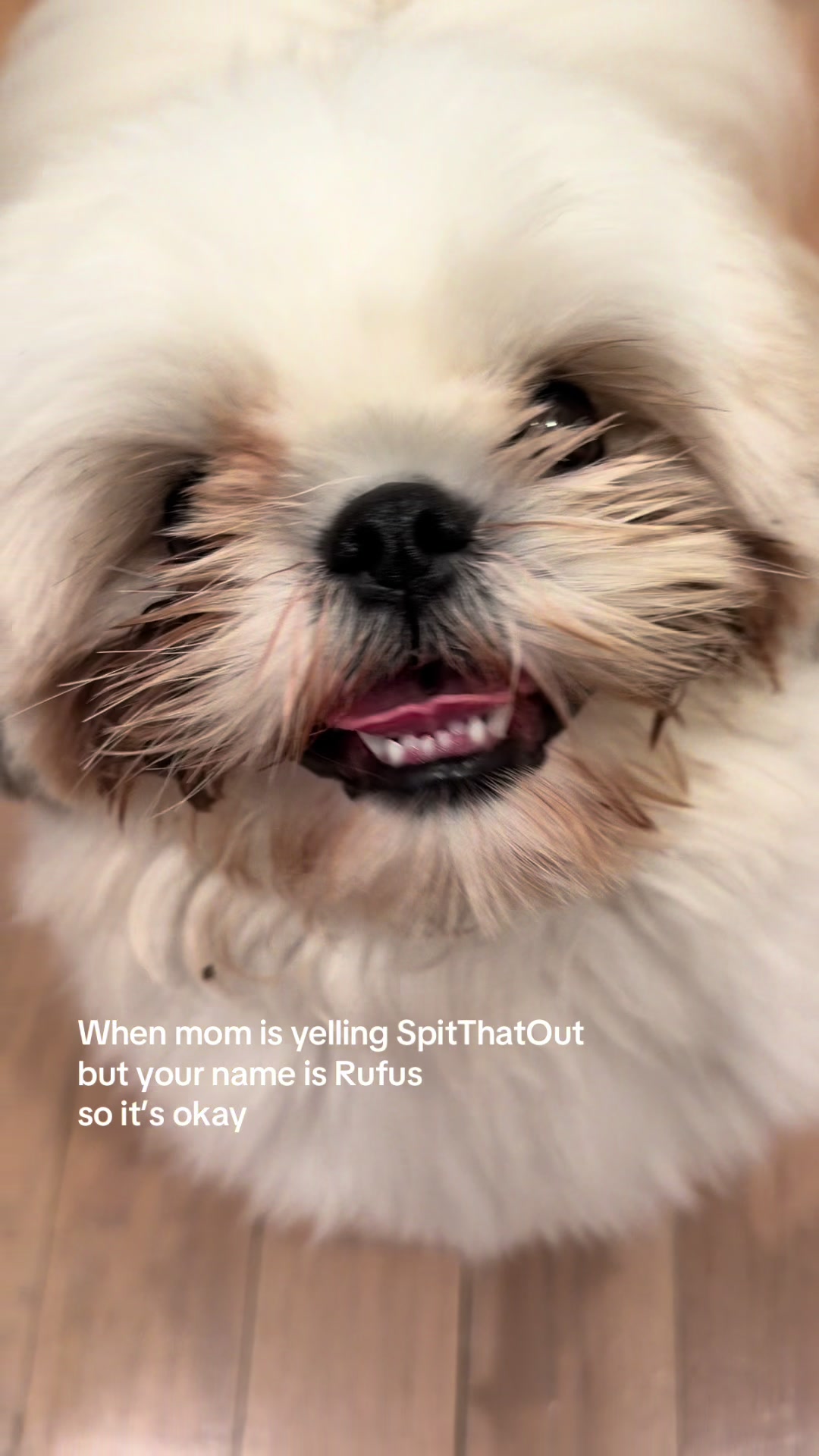 @Rufus