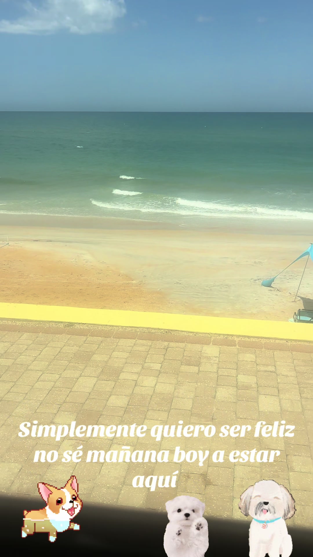 @los3huevertos