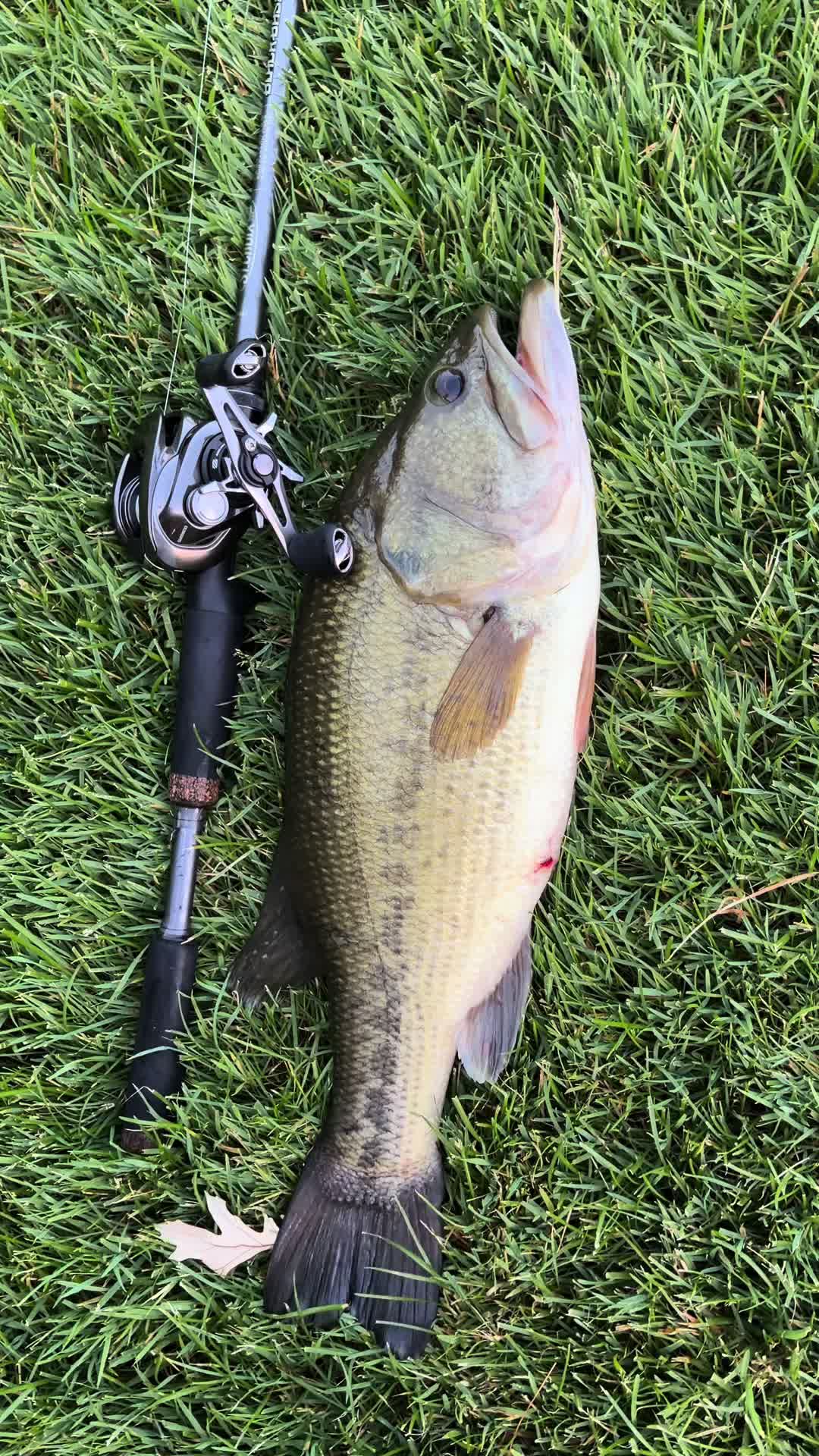 @JoseFishing