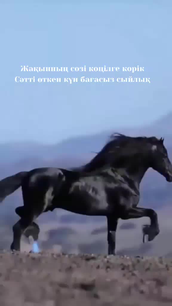 @Рахым Әбутәліп