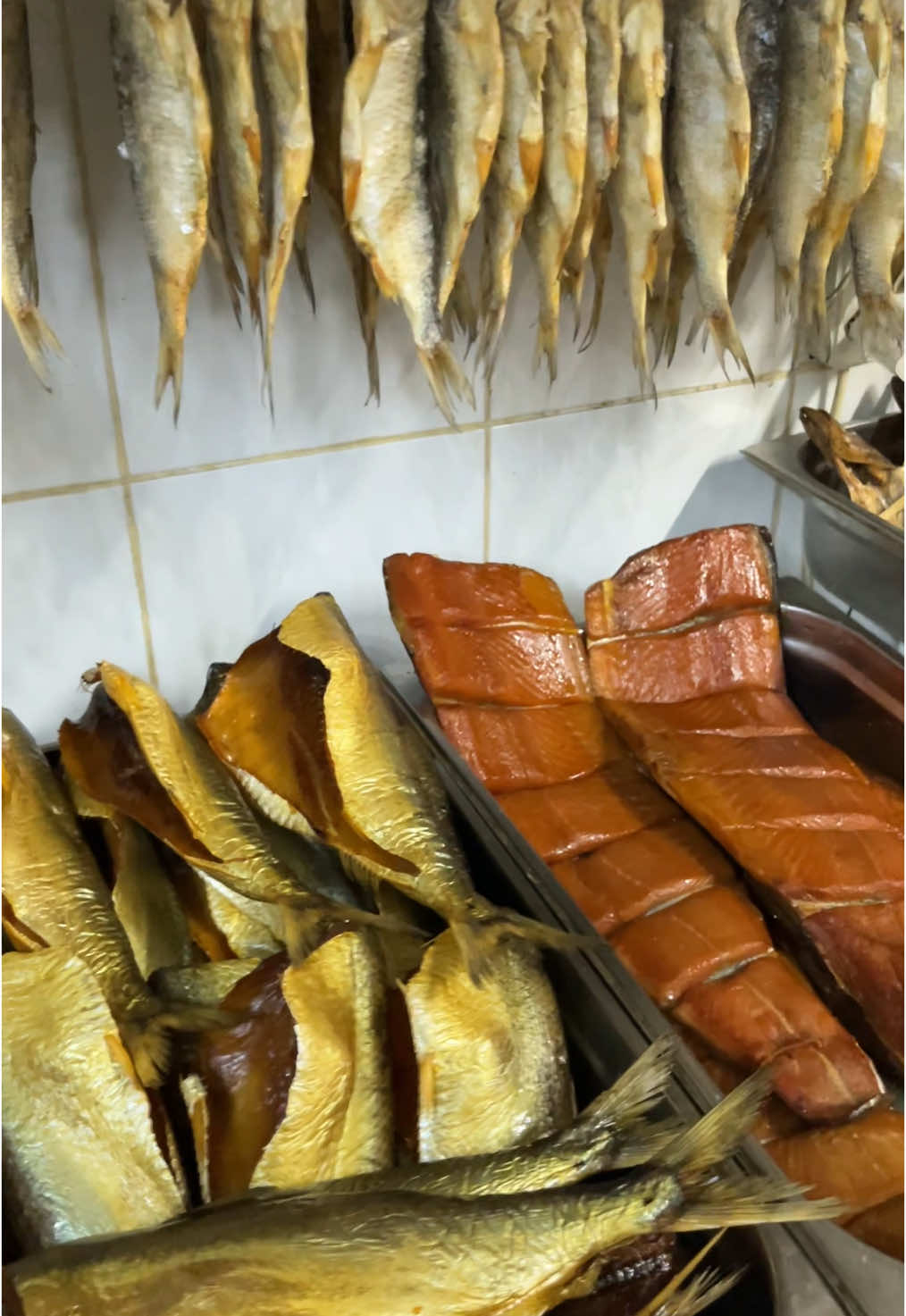 @BALIQLAR ALƏMI ƏHMƏDLI