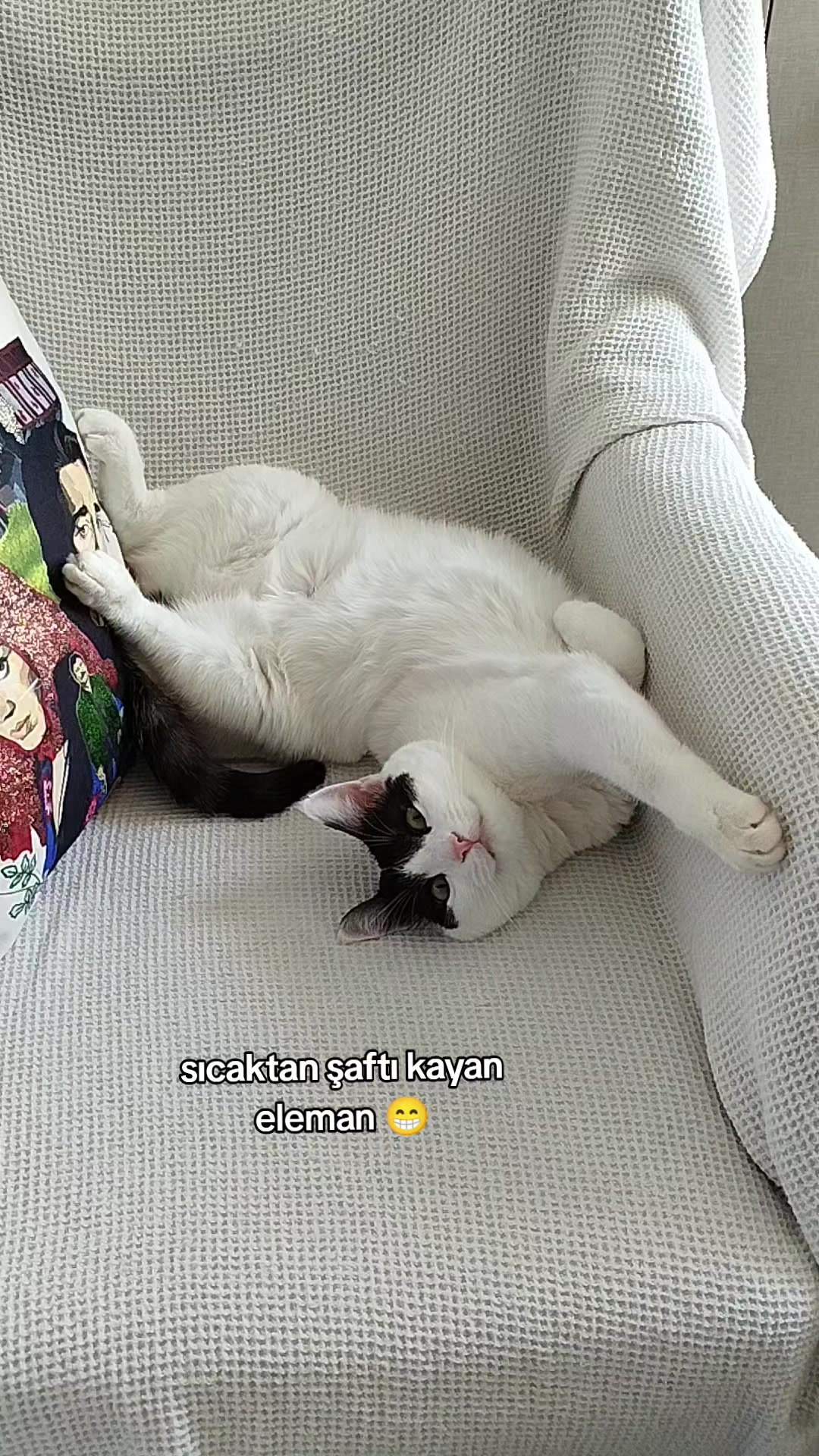 @KAVUN